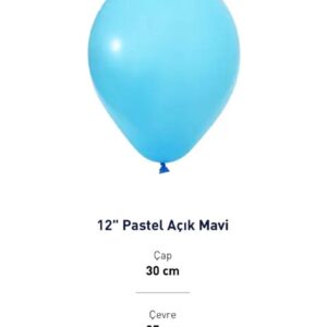 12'' PASTEL AÇIK MAVİ BALON EVİ 100'LÜ