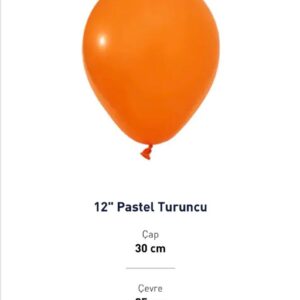 12'' PASTEL TURUNCU BALON EVİ 100'LÜ