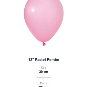 12'' PASTEL PEMBE BALON EVİ 100'LÜ