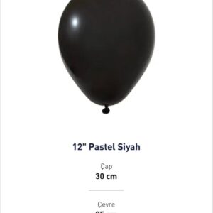 12'' PASTEL SİYAH BALON EVİ 100'LÜ