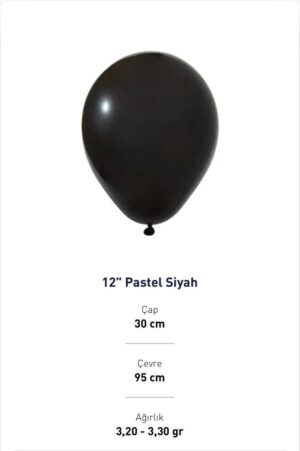 12'' PASTEL SİYAH BALON EVİ 100'LÜ