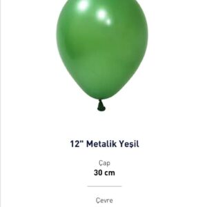 12” METALİK YEŞİL BALON EVİ 100’LÜ
