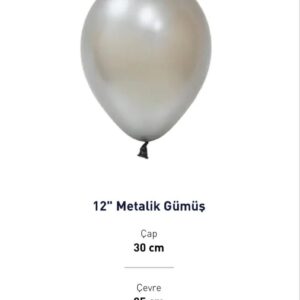 12” METALİK GÜMÜŞ BALON EVİ 100’LÜ