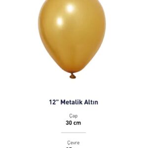 12” METALİK ALTIN BALON EVİ 100’LÜ