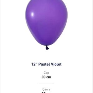 12'' PASTEL VİOLET BALON EVİ 100'