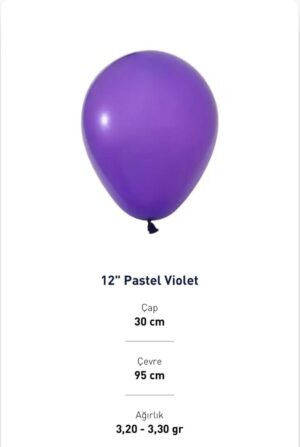 12'' PASTEL VİOLET BALON EVİ 100'