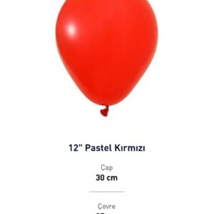 12'' PASTEL KIRMIZI BALON EVİ 100'LÜ