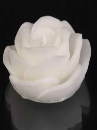 GÜL MUM SADE 12'Lİ PAKET