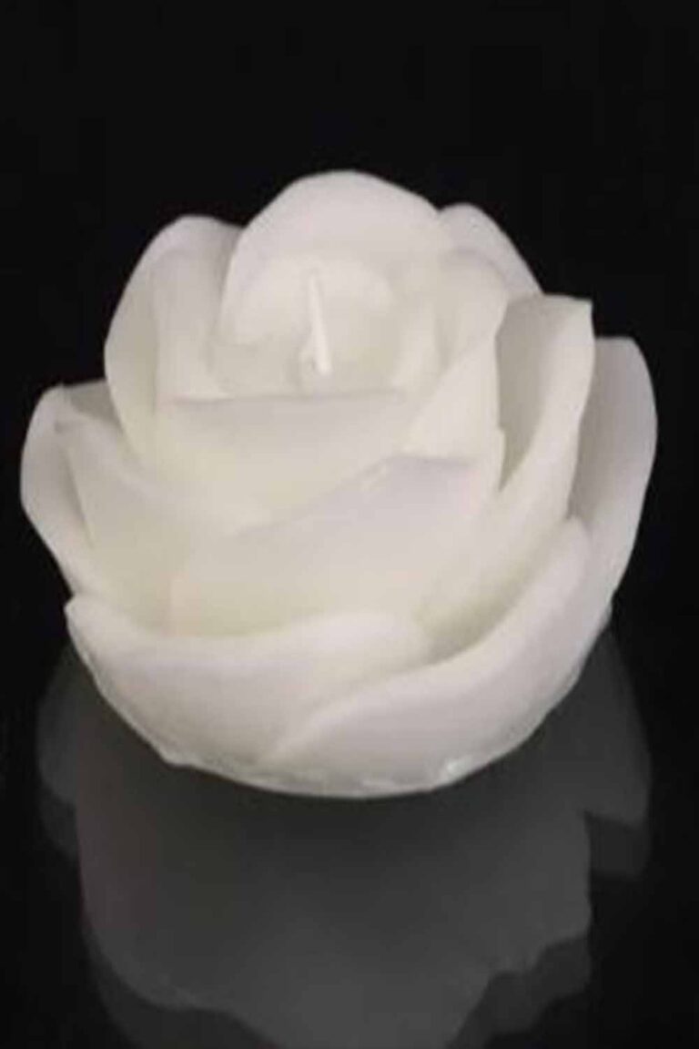 GÜL MUM SADE 12'Lİ PAKET