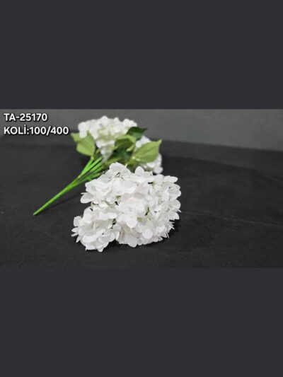 TA-25170 ISLAK ORTANCA 6 RENK