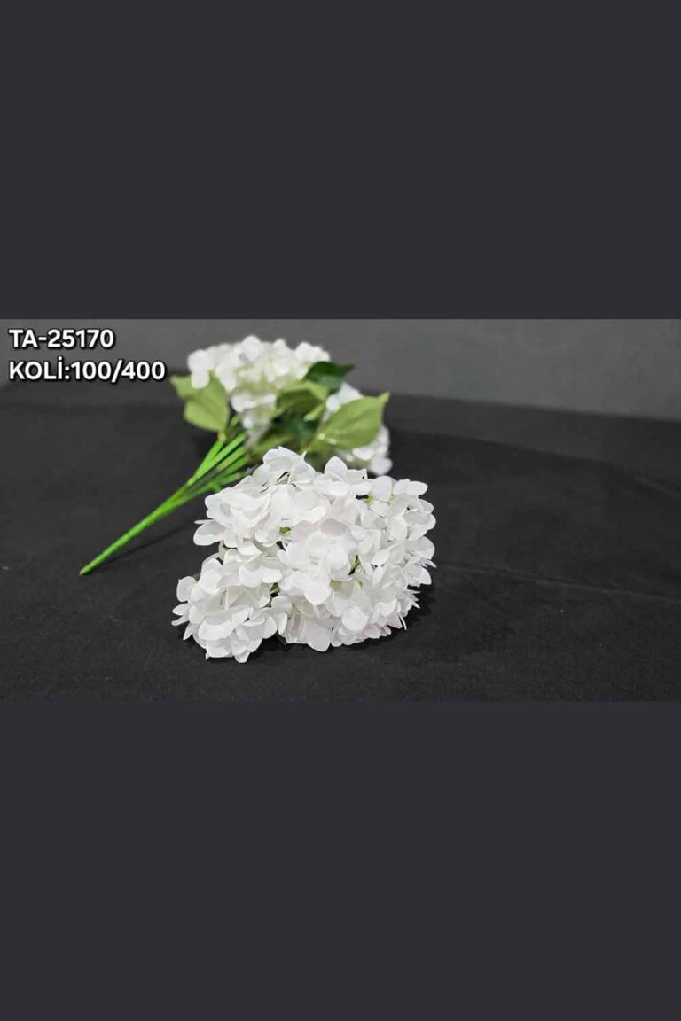 TA-25170 ISLAK ORTANCA 6 RENK